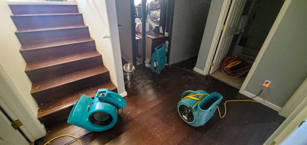 Best Water damage restoration near me  in Rio Verde, AZ