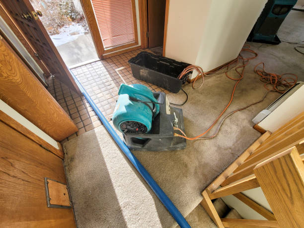 Professional Water damage restoration in Rio Verde, AZ