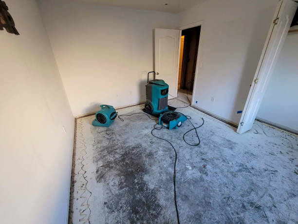 Best Water damage restoration near me  in Rio Verde, AZ