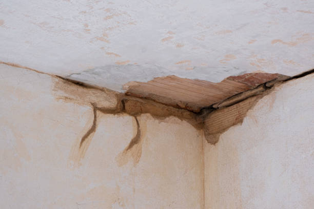 Reliable Rio Verde, AZ Water damage restoration Solutions