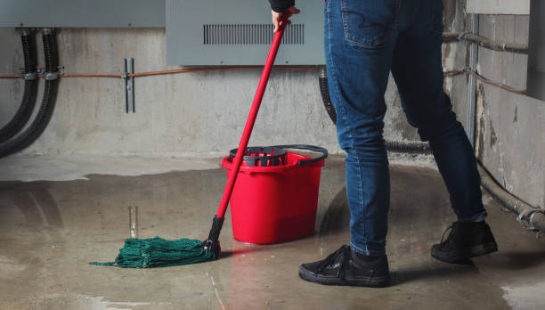 Best 24-hour water damage restoration  in Rio Verde, AZ