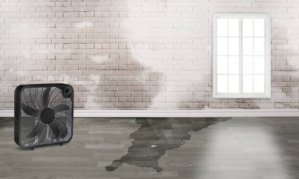 Professional Water damage restoration in Rio Verde, AZ