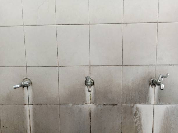 Best Water damage restoration company  in Rio Verde, AZ