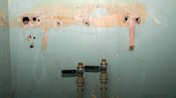 Best Water damage contractors near me  in Rio Verde, AZ