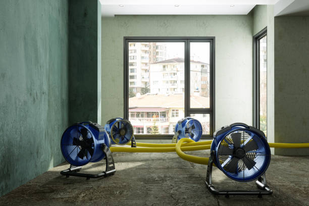 Local water damage restoration in Rio Verde, AZ